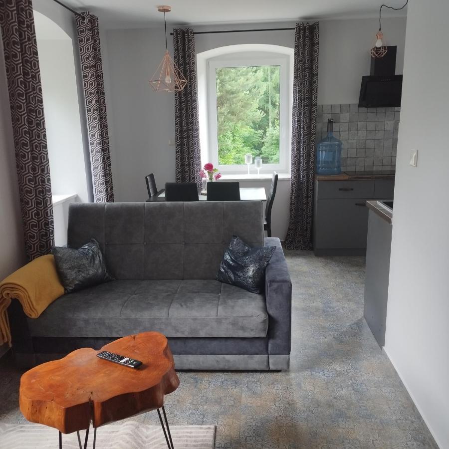 Apartamenty U Golebiewskich Стара-Каменица Экстерьер фото